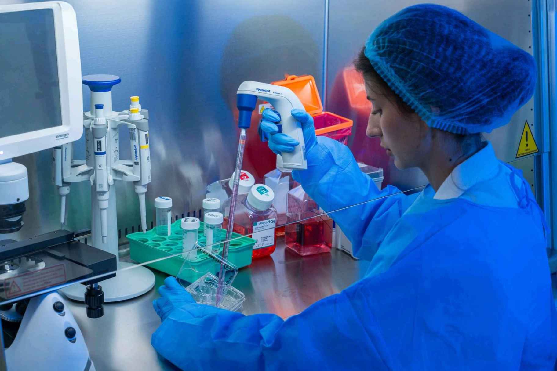 Stem Cells Research Centre Launched at United Arab Emirates University