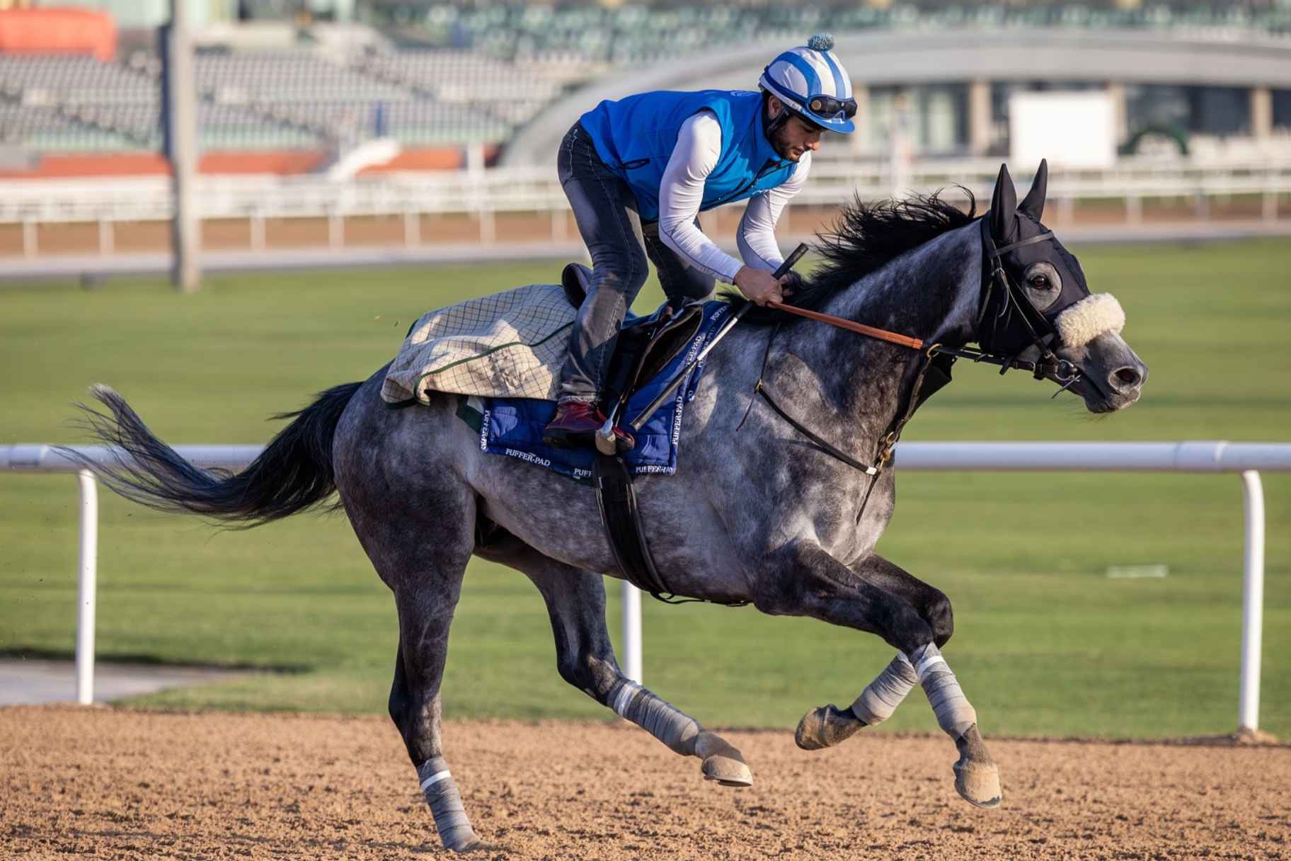 World’s Top Horses Set to Compete in 29th Dubai World Cup