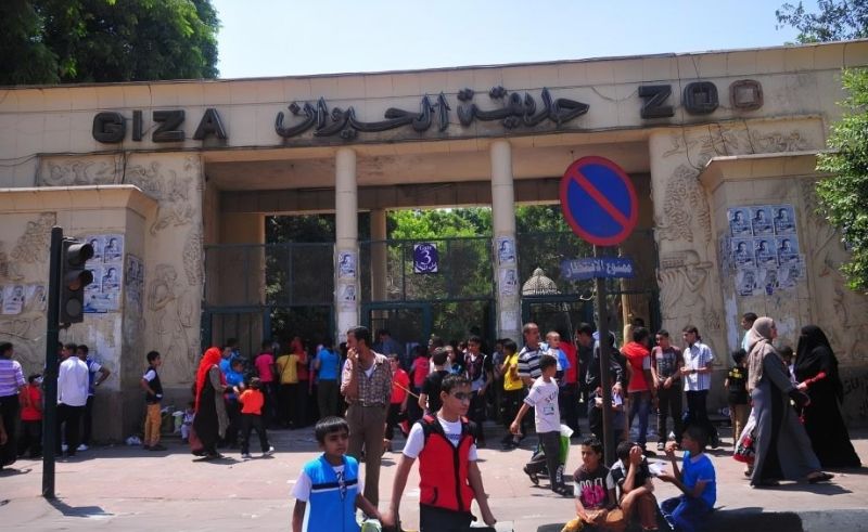 Giza Zoo to Reopen in September After Major Renovations