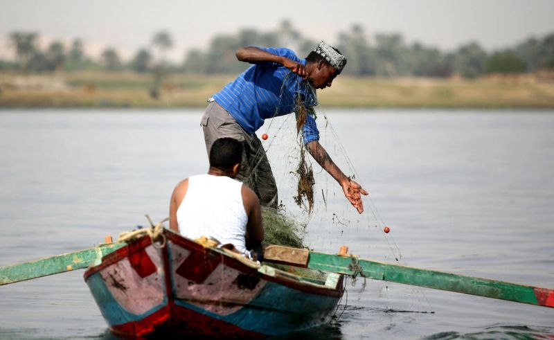 Night Fishing is Permitted in North Sinai After Years-Long Pause