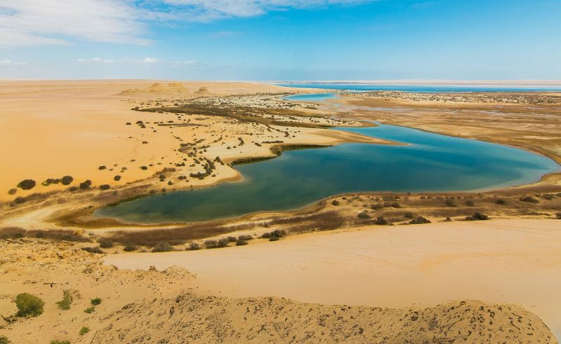 Scientists Discover Ancient Predator Bastetodon in Fayoum