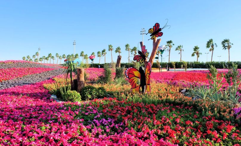 Qatif Flower Festival Records More Than 300,000 Visitors