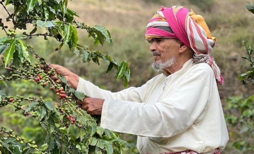 Rijal Almaa Coffee Festival Generates USD 101,300 in Just Four Days