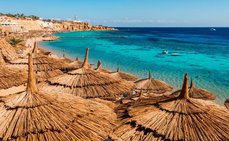 Green Sharm El Sheikh Launches Two Sustainability-Focused Apps