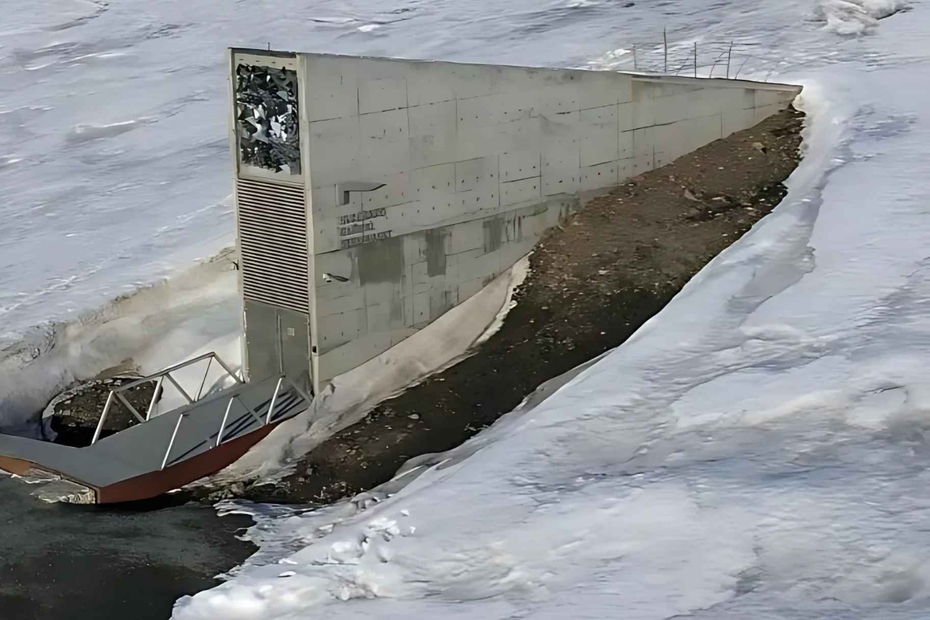 UAE Stores Seeds in Arctic 'Doomsday Vault'