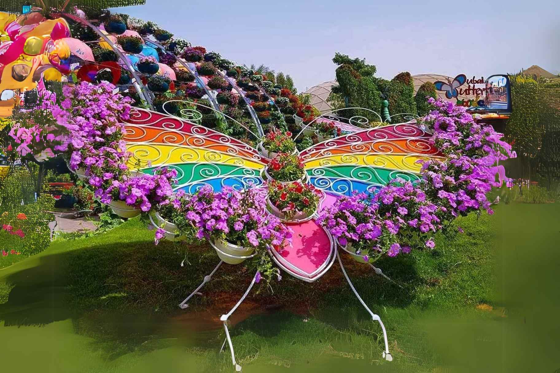 Abu Dhabi’s First Butterfly Sanctuary to Spread Its Wings in September