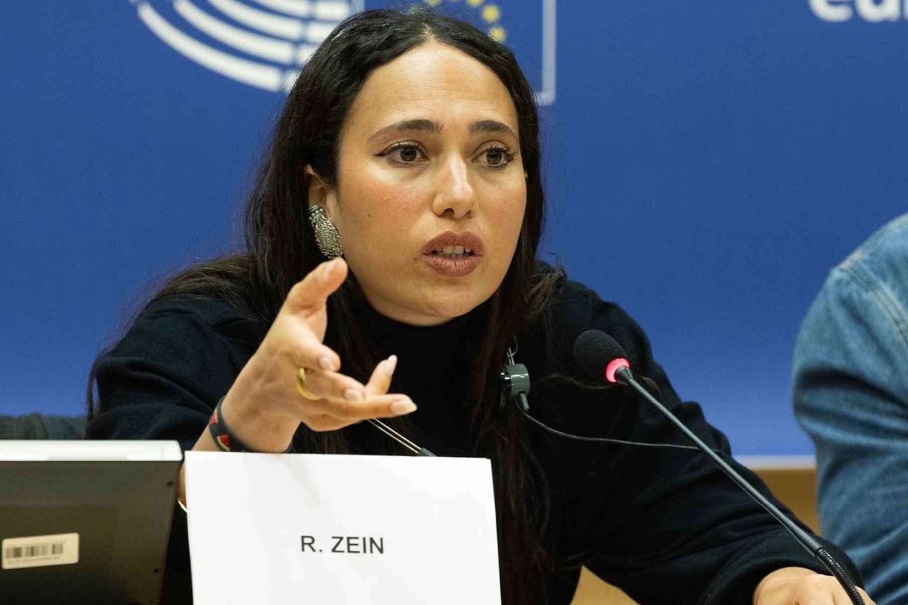 Egypt’s Rahma Zein Addresses European Parliament on Palestine