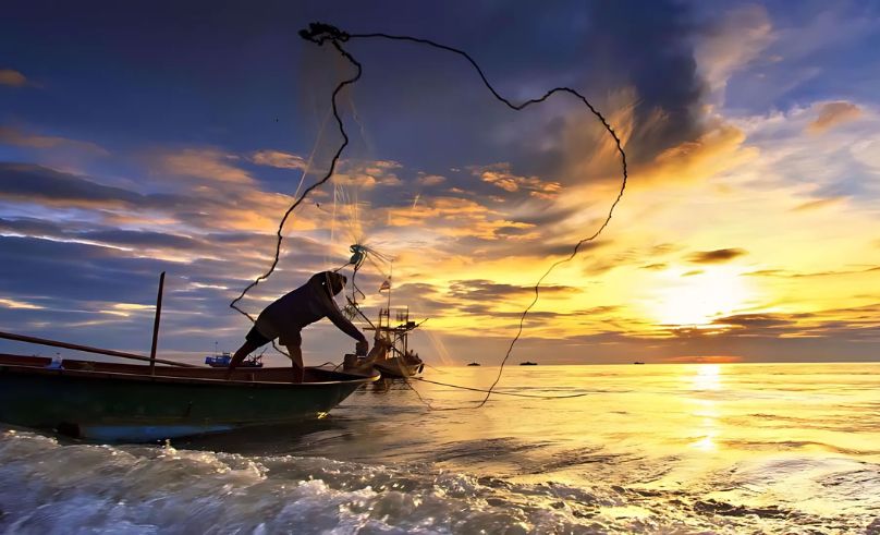 Saudi Arabia Joins UN Agreement to Combat Overfishing