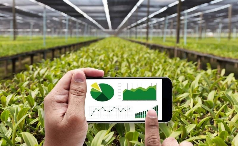 China-UAE AgriTech Hub to Pioneer Desert Farming in Al Ain