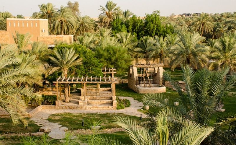 'Nabatik' Takes Root to Promote Tree Planting in Makkah