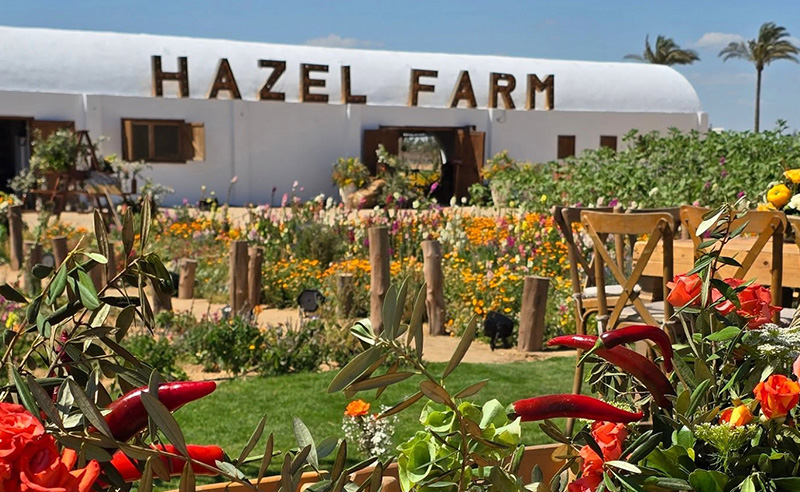 Tired of the City? These Farms Are the Reset You Need