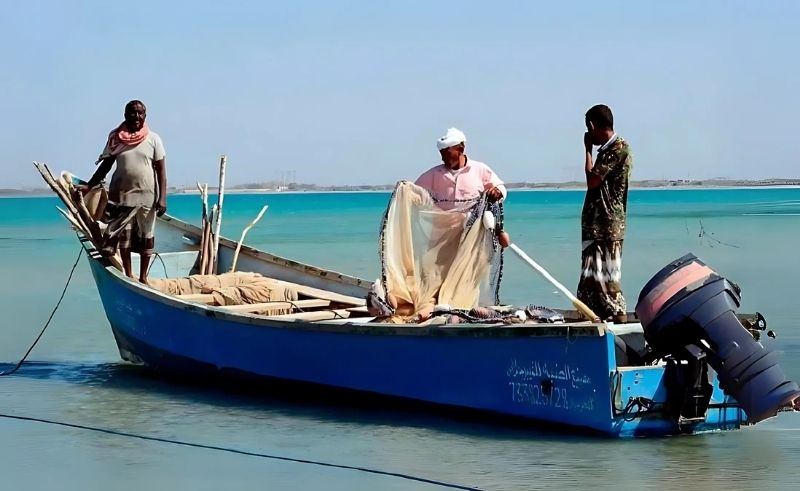 Abu Dhabi Records 97.4% in Sustainable Fisheries Index