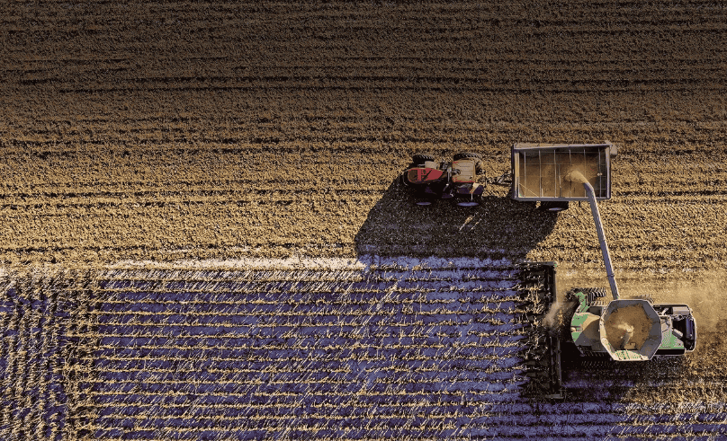 UAE-Based Food Distributor NTRC Acquires One of Egypt’s Largest Farms