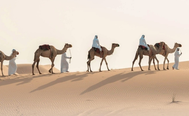 100 Youth to Join 1,000 km Camel Heritage Trek Across the UAE Desert