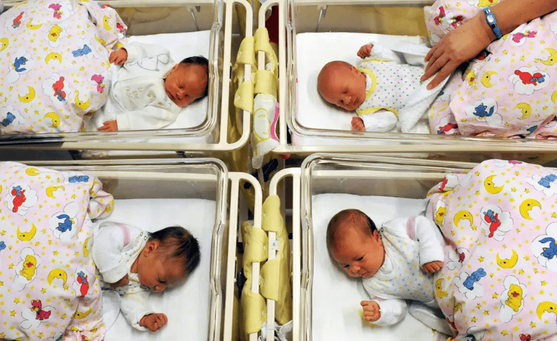 Egypt Sees 3.8% Decline in Births in 2024