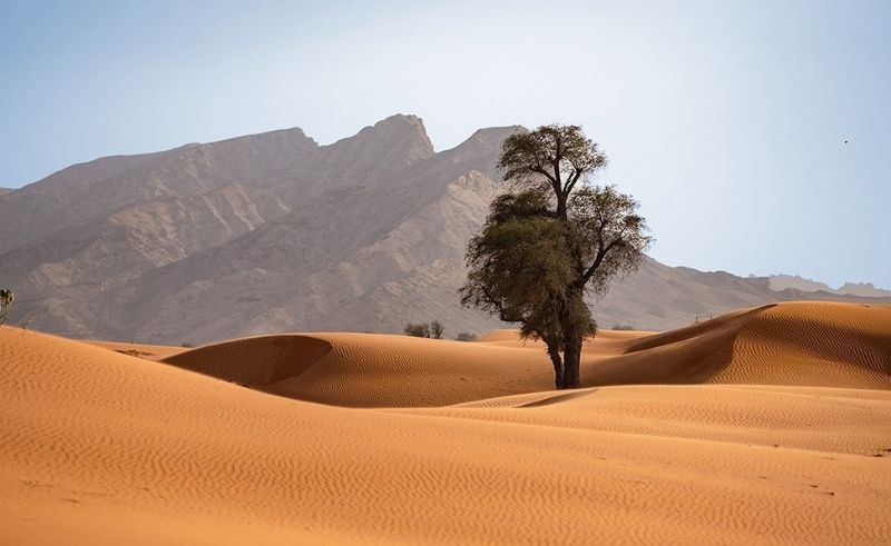 The Desert is a Ceiling to a Forgotten Sea at This Sharjah Park