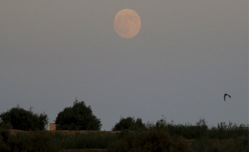 You Can See a Total Lunar Eclipse in Egypt on September 7th