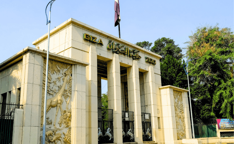 Giza Zoo Alliance Denies Animal Killings Amid Renovation Work