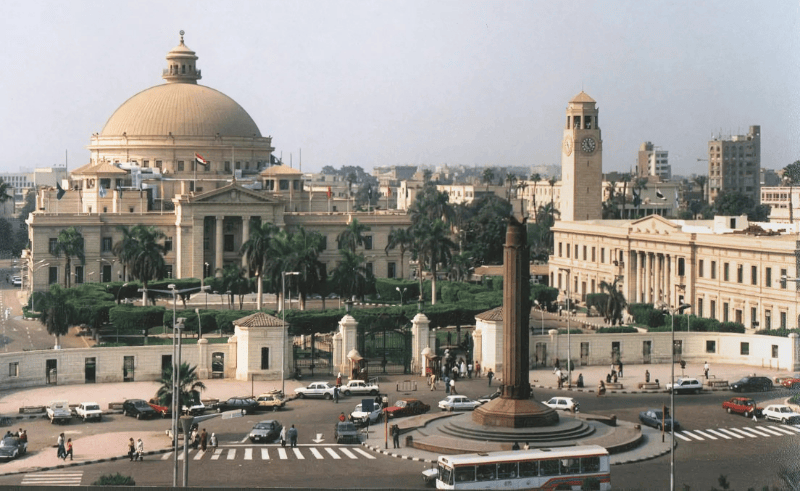 Egyptian University Students Can Access Google's Gemini Pro for Free