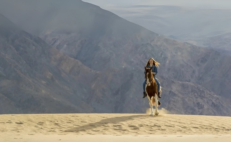 UAE’s First Sandy Equestrian Track Opens in Hatta