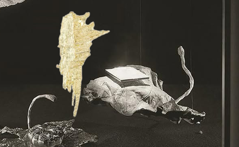 Api Alia SPOTLIGHT: Alia bin Omair Transforms UAE’s Heritage into Wearable Art