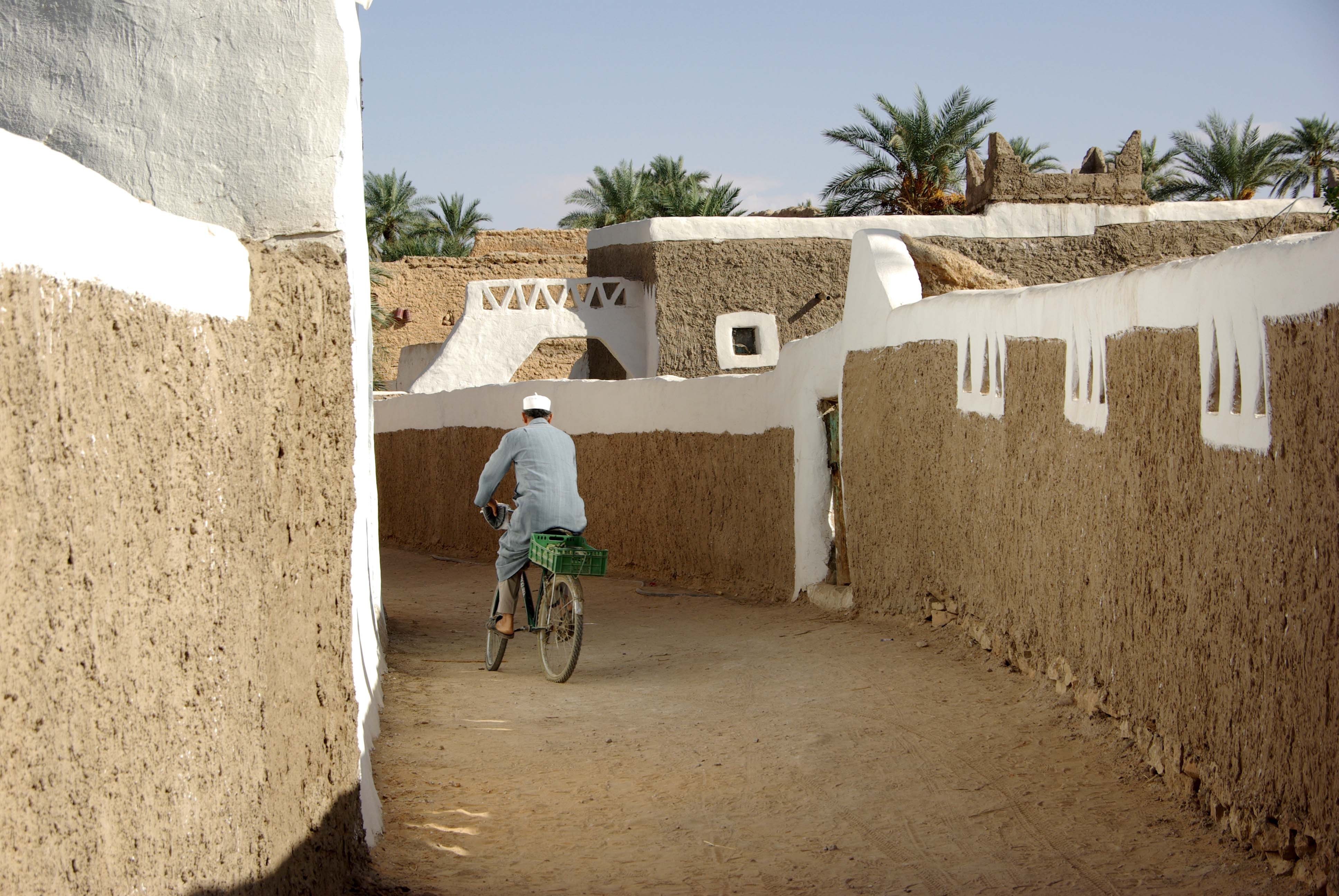 From Desert Sands to Fashion Catwalks: The Enduring Appeal of Berber Djellabas and Burnouses